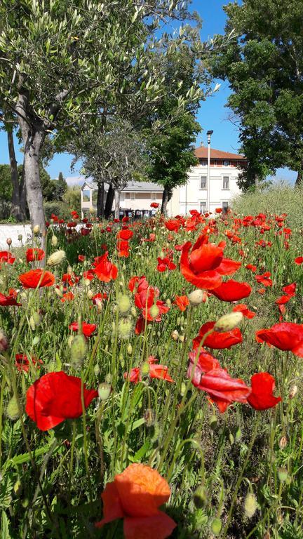 Villaggio Esmera Desenzano del Garda Kültér fotó